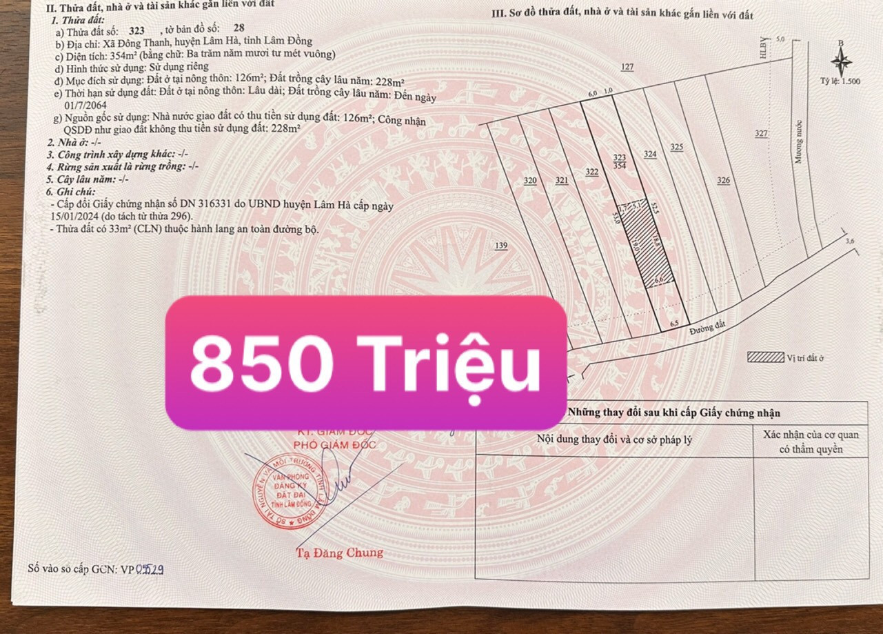 Đất Đông Thanh hướng Đông Nam 850TR/354m2(126m2 TC) ☎️0938.60.9098