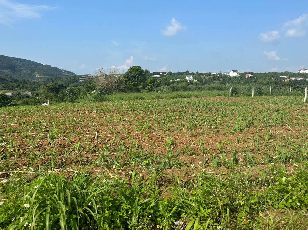 Đất view nghỉ dưỡng 400tr