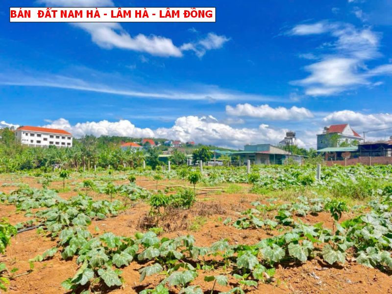 Bán đất Nam Hà, Lâm Hà, Lâm Đồng ven Đà Lạt