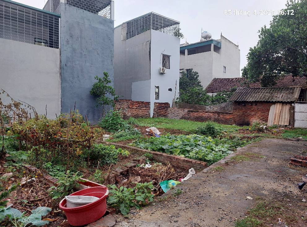 Chủ cần bán 62m2, mt5m, 4.15 tỷ. Nam Hồng, Đông Anh, gần ô tô.