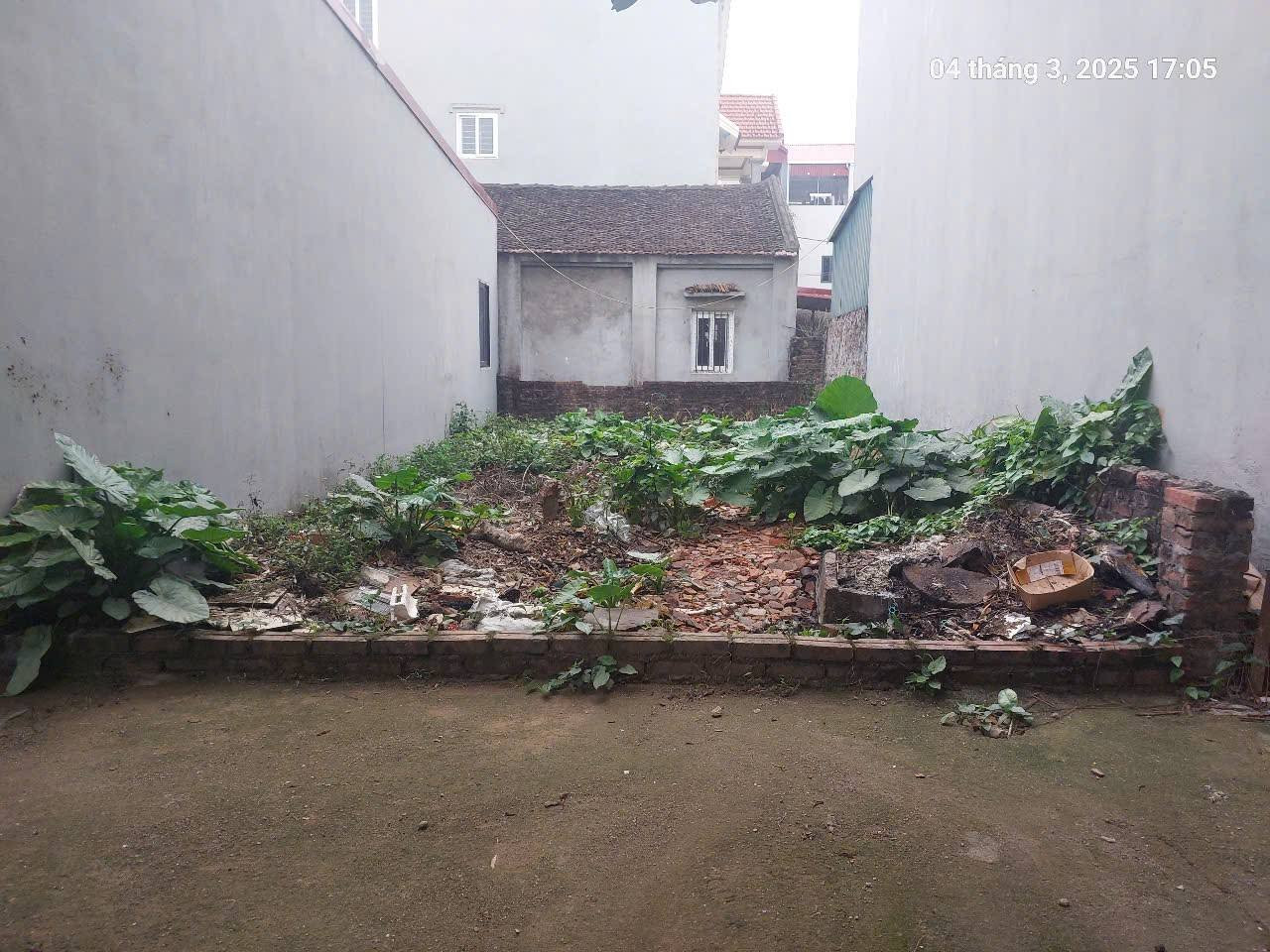 Đất Nam Hồng 46m2, mt5m, gần ô tô, 3.15 tỷ, Đông Anh.