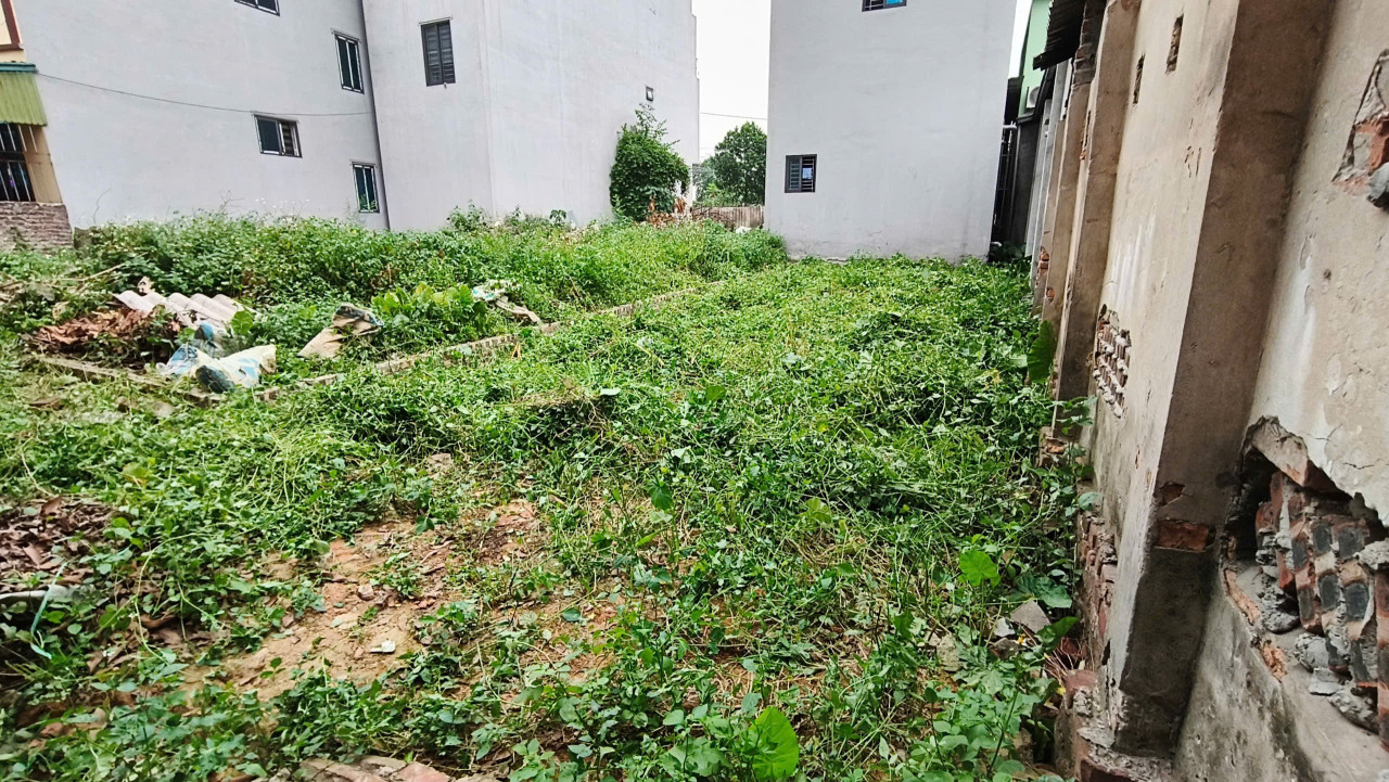 Bán đất 70m² ngang 4m giá 3.5 tỷ tại Xã Nam Hồng Huyện Đông Anh