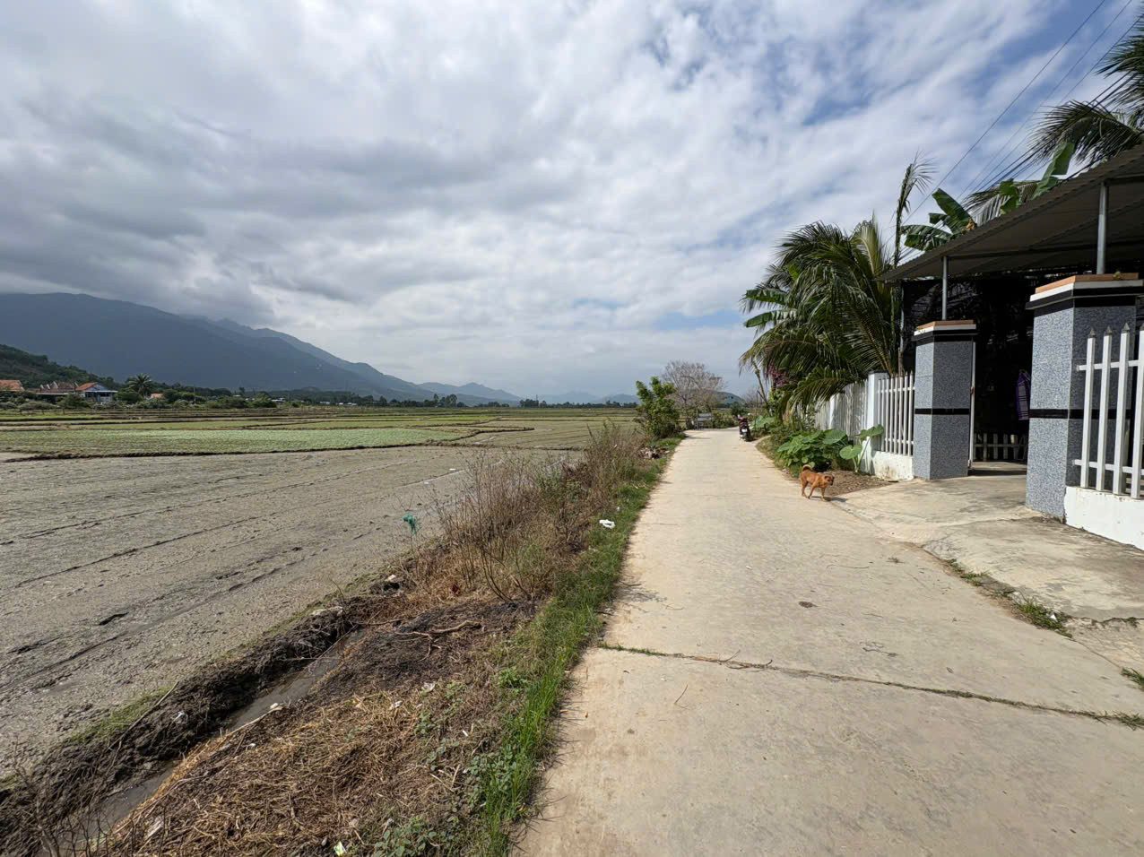 0763615365 Bán đất 2072m² ngang 40m giá 4.5 tỷ tại Xã Nam Ninh Hòa YCC