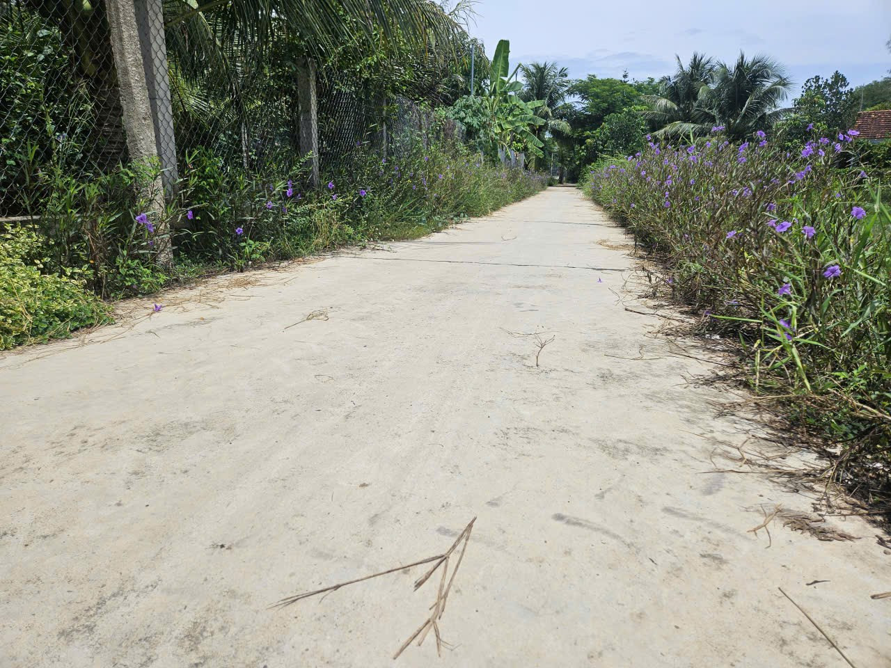 0763615365 Bán đất 200m² ngang 7m giá 600 triệu Xã Nam Ninh Hòa