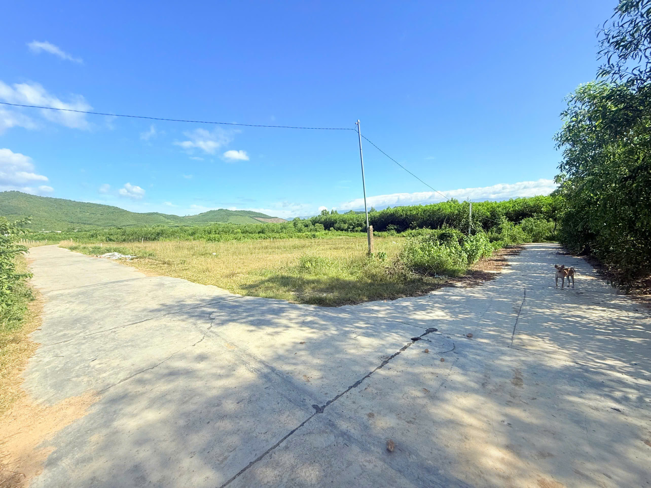 0763615365 Bán đất 6400m² giá 12 tỷ Xã Nam Ninh Hòa