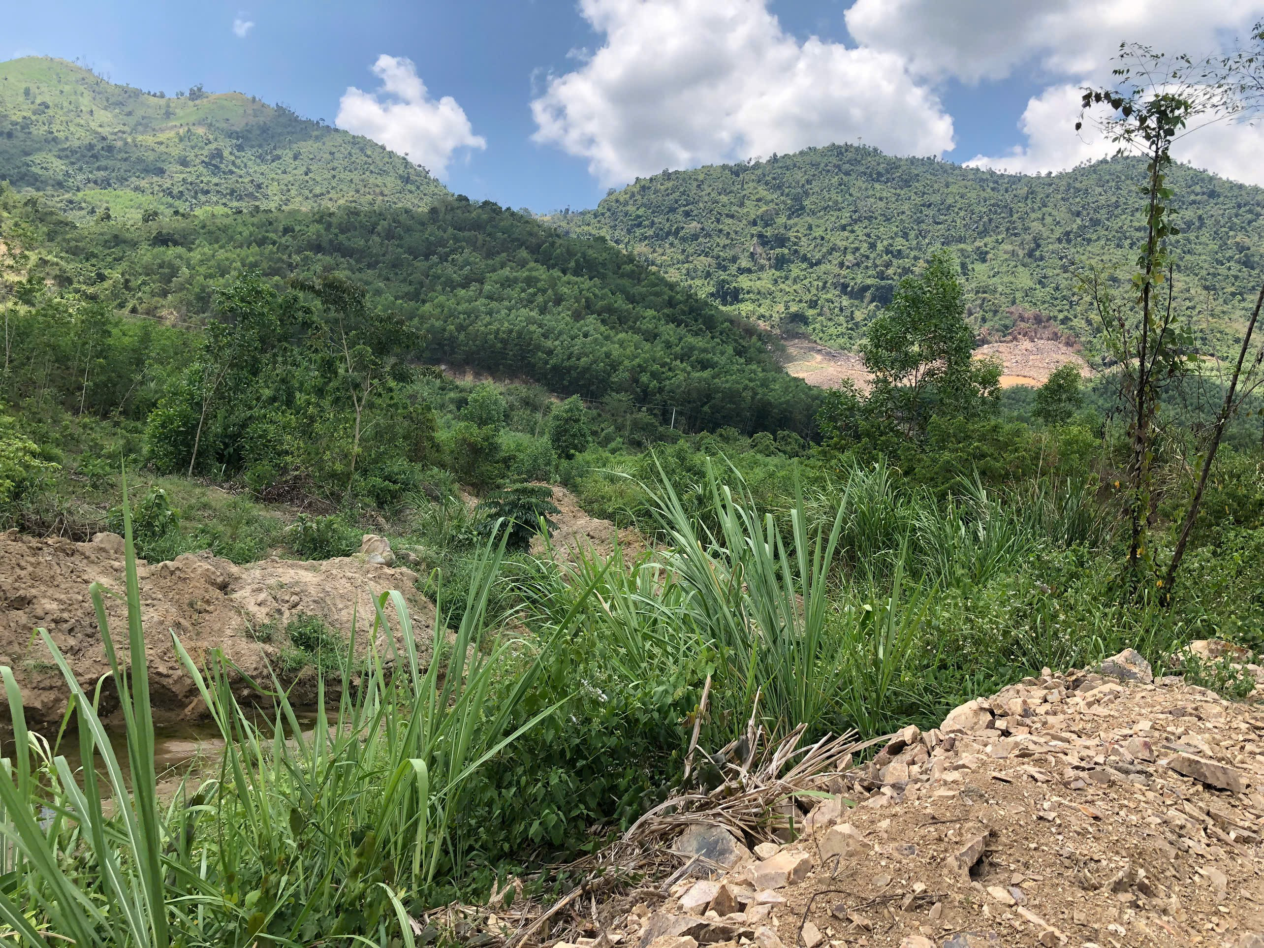 0938113403 Bán đất 20060.6m² giá 1.2 tỷ Xã Nam Ninh Hòa Z267