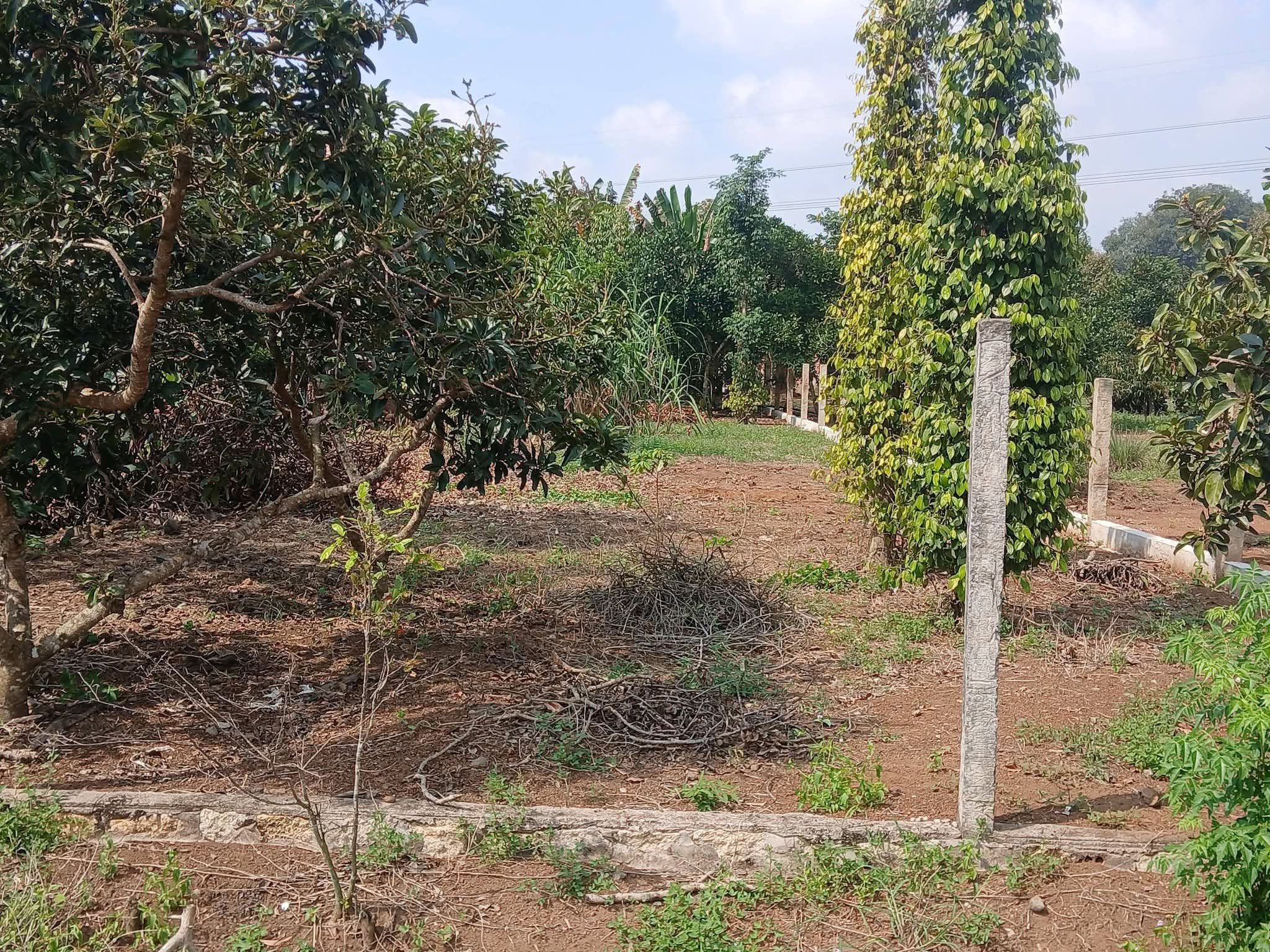 Bán đất 624.8m² có sẵn 80m² thổ cư ngang 10m giá 1.15 tỷ tại Bình Ba Xã Ngãi Giao