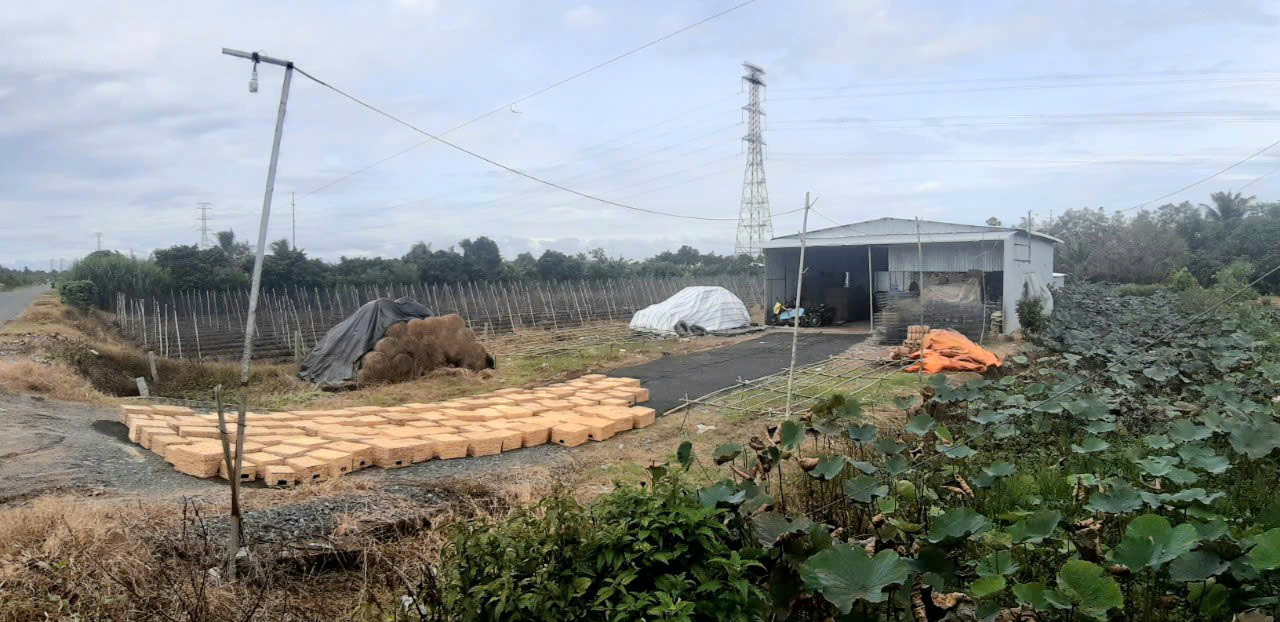 Bán đất 1859.1m² ngang 24.55m giá 3 tỷ tại Xã Ngãi Tứ Huyện Tam Bình
