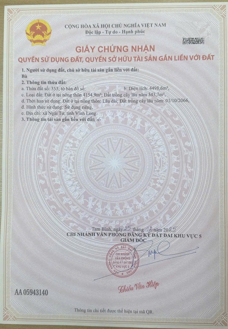 Bán đất mặt tiền đường 909, gần Quốc lộ 54, Tỉnh Vĩnh Long