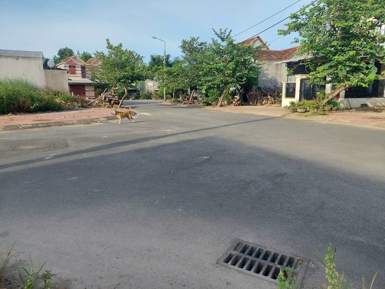 Bán đất 149m² 1.05 tỷ tại Xã Nghĩa Dũng Thành phố Quảng Ngãi
