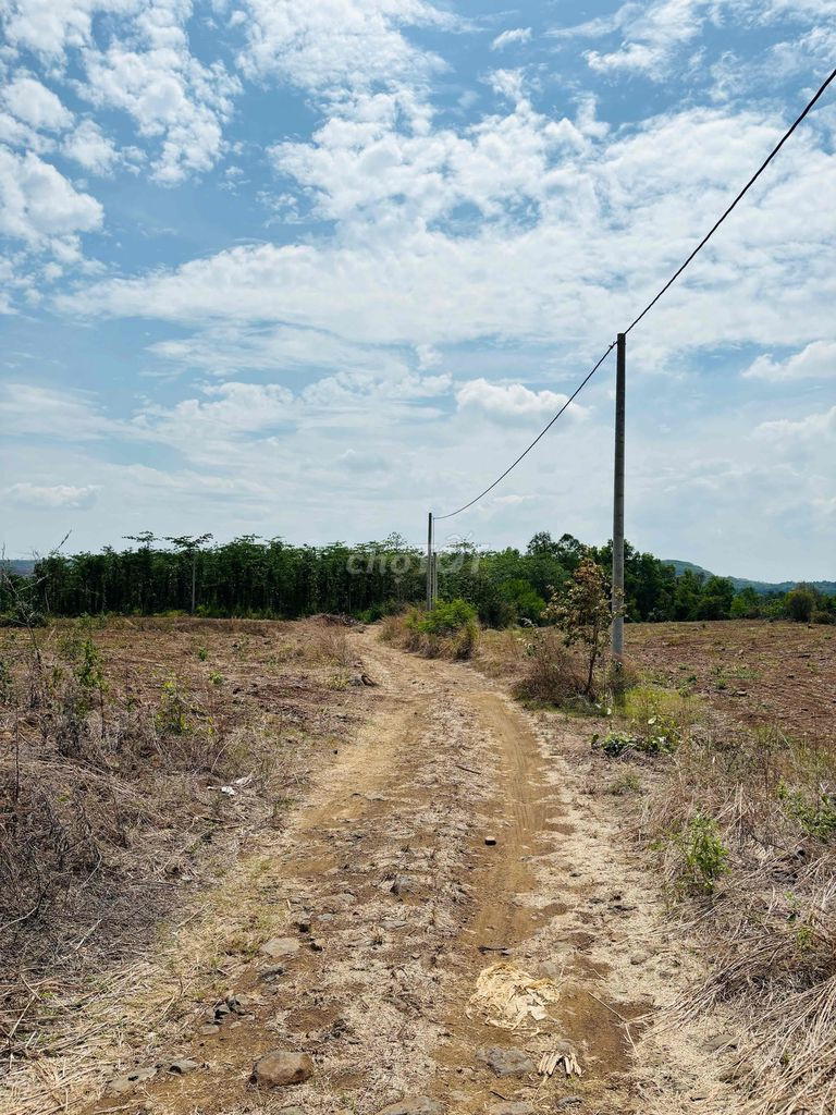Bán đất 968,8m² ngang 10m giá 990 triệu Xã Nghĩa Thành
