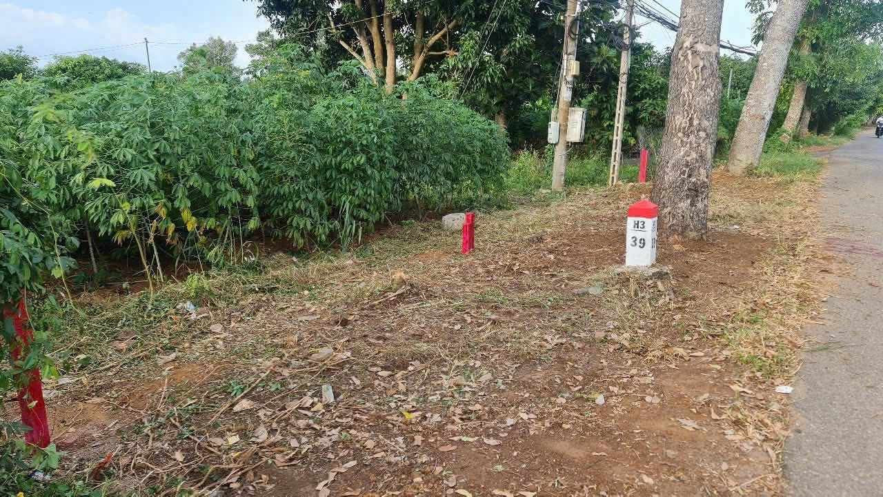 Bán đất 502,4m² ngang 10m giá 4.2 tỷ Xã Nghĩa Thành