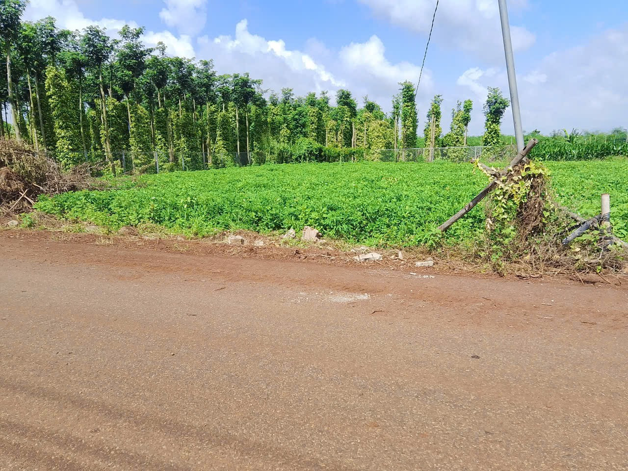 Bán đất 280,9m² ngang 10,5m giá 1.2 tỷ Xã Nghĩa Thành