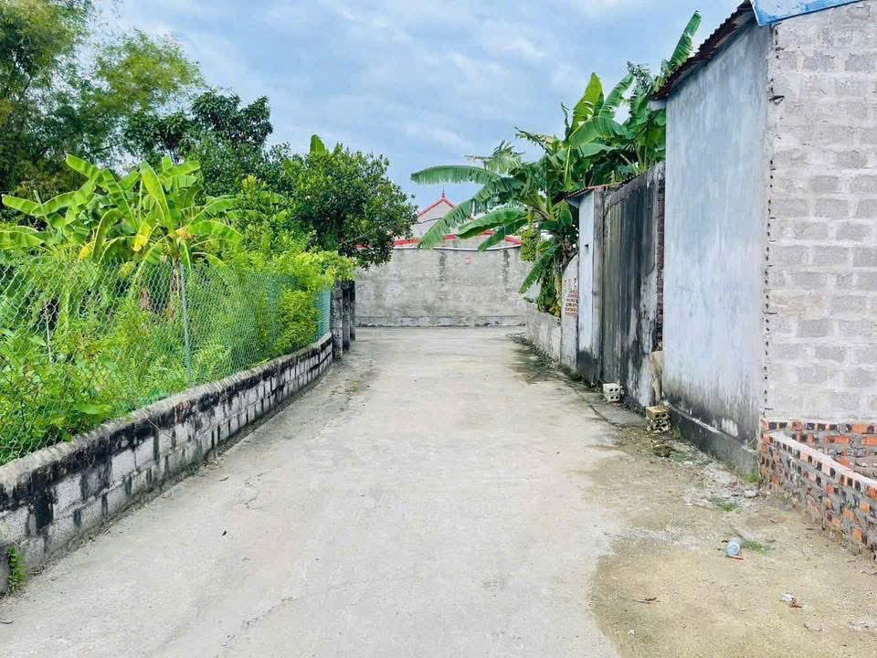 1ND80.2 🌟 GẦN KCN NGŨ PHÚC KIẾN THỤY - 80,2M² MẶT TIỀN 5M NGÕ RỘNG - ZÁ CHỈ 1,3 TỶ