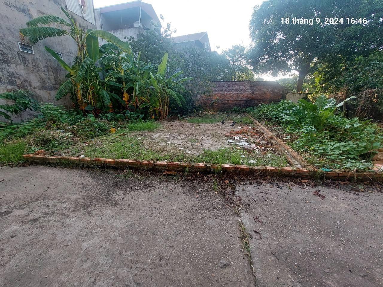 Chủ tìm khách, Tiên Hùng, 79.5m2, mt5m, nở hậu, 4.8 tỷ Đông Anh. Ô tô, gần phố.