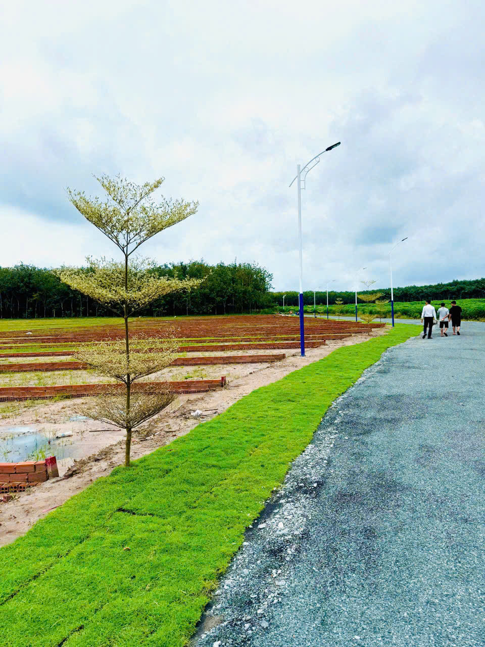 Bán đất 300m² có sẵn 50m² thổ cư ngang 5m giá 350 triệu tại Xã Nha Bích