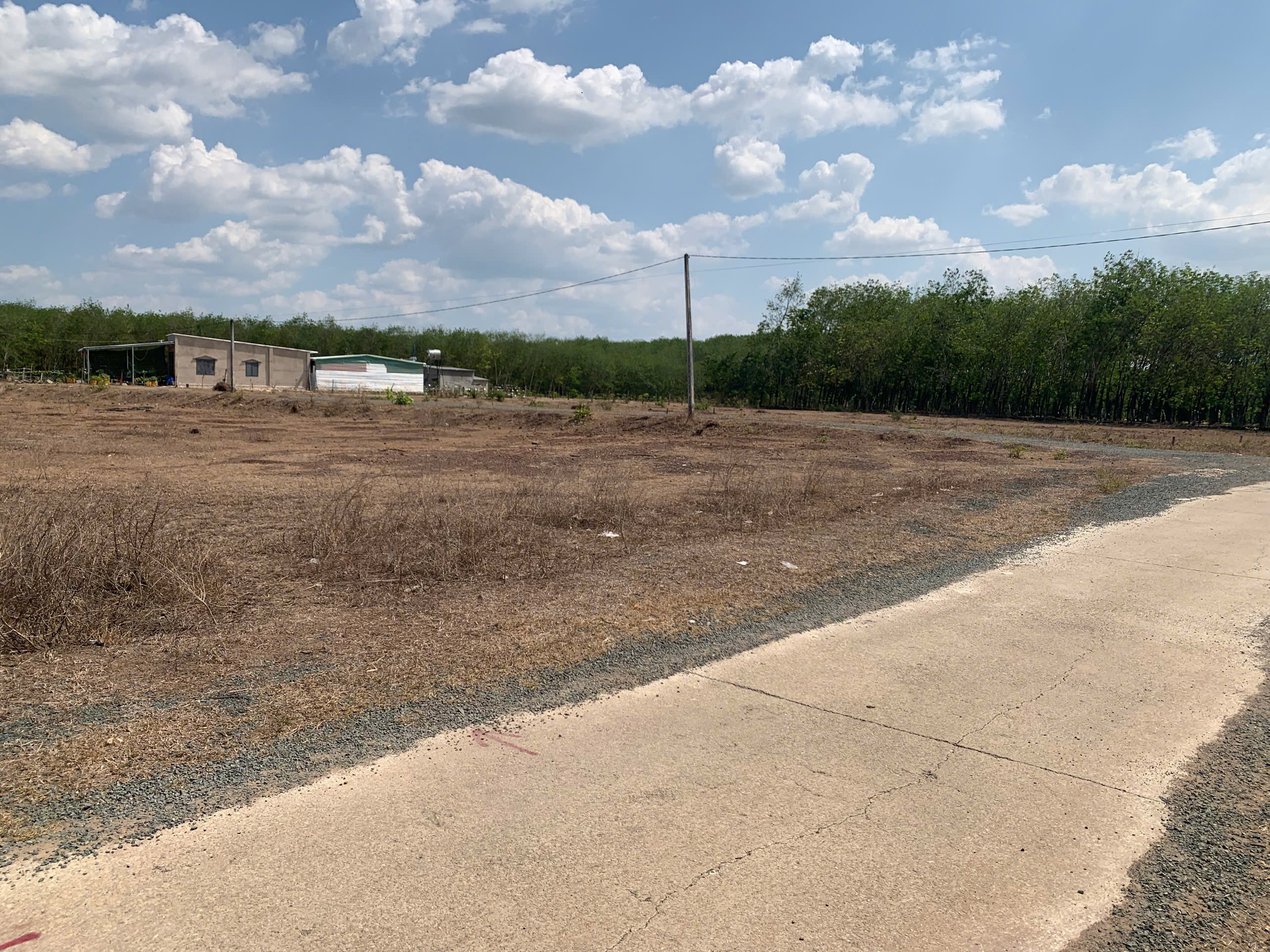 Đất Nhà Cần Bán 250m2 Tại Nha Bích, Chơn Thành, Đồng Nai - Chỉ 295 Triệu