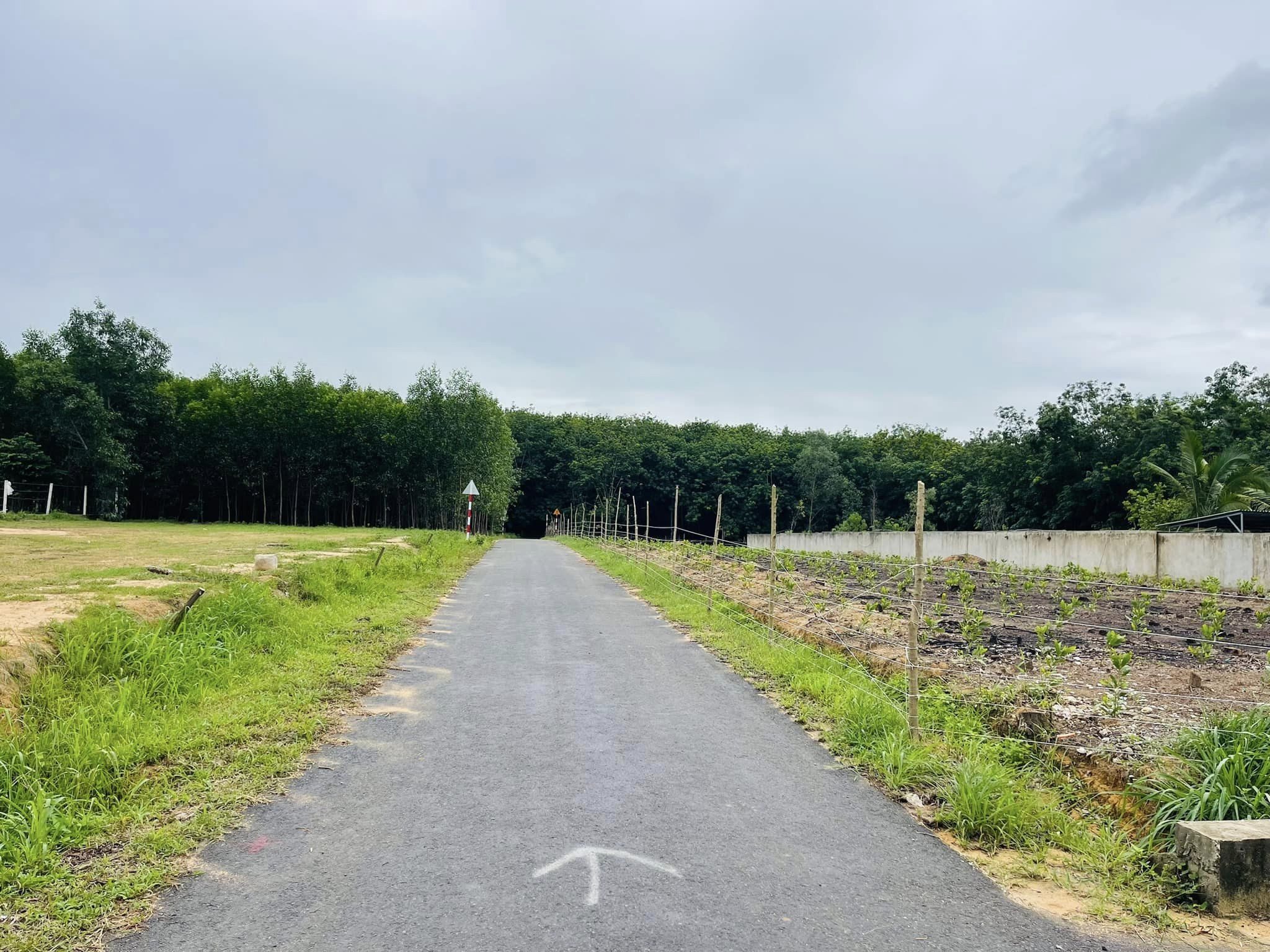 0909 044 186. sang gấp 2000m2 đất giá 180tr gần chợ, cty xí nghiệp, bao sổ hồng rất tiện mua làm nhà , xây trọ, cafe