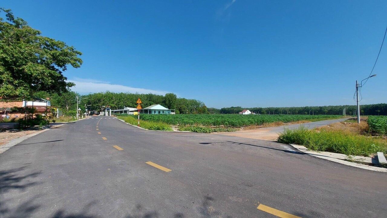 Bán đất 3000m² ngang 51m giá 180 triệu tại Xã Nha Bích