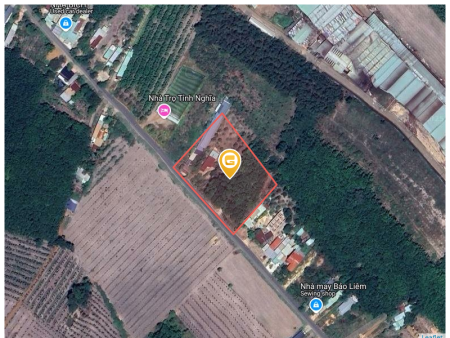 Bán đất 1000m² 180 triệu tại Xã Nha Bích Thị xã Chơn Thành