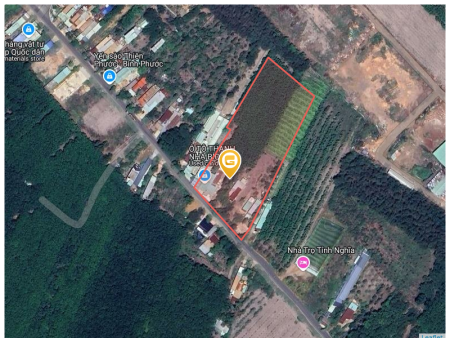 Kẹt tiền bán 1000m2 giá 180 triệu. LH: 0933.263.596 A.Vỹ