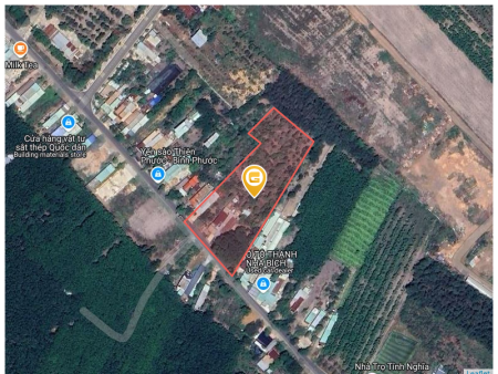Kẹt tiền bán 1000m2 giá 180 triệu. LH: 0933.263.596 A.Vỹ