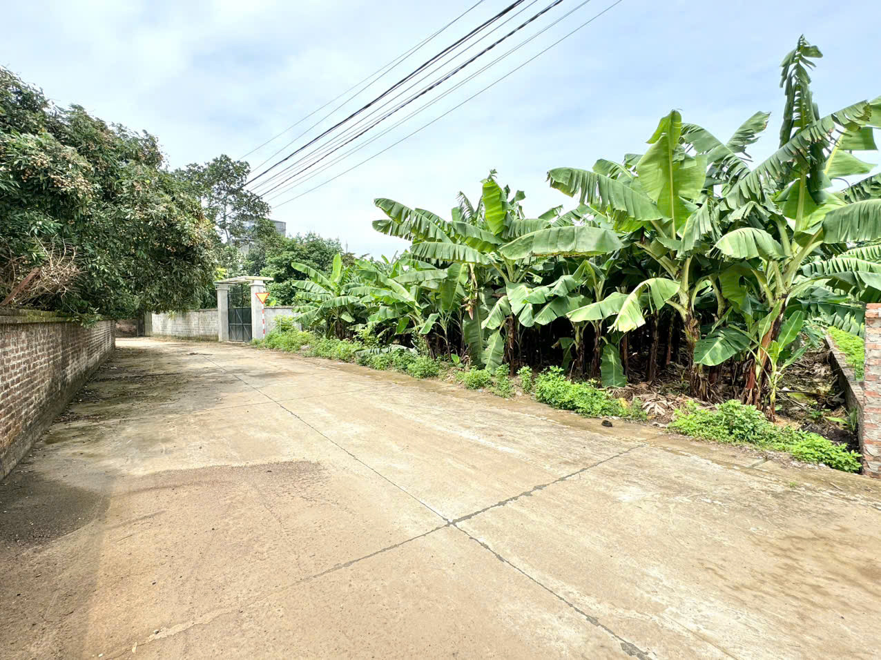915m - mặt tiền 30m - gần KCN Nhuận Trạch - giá nhỉnh 6 tỷ