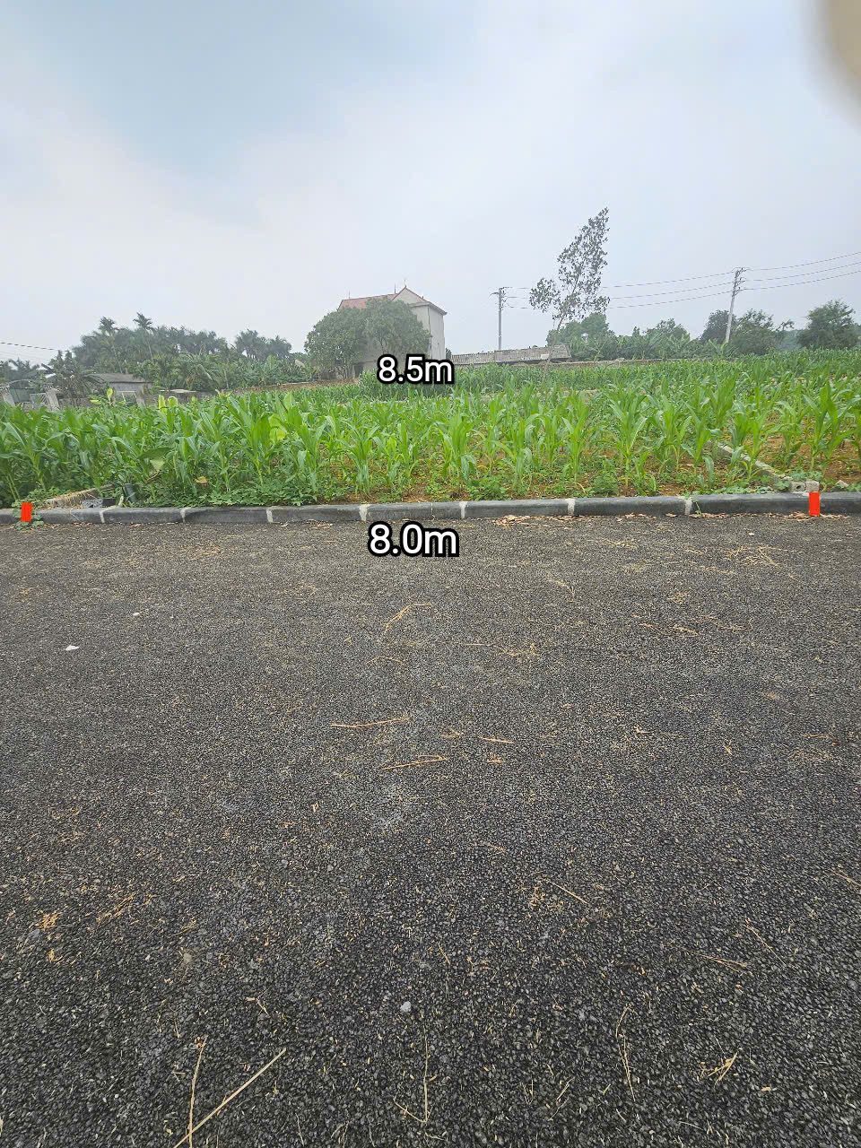 138m - mặt tiền rộng - khu dân cư - gần KCN - tài chính hơn 12tr/m
