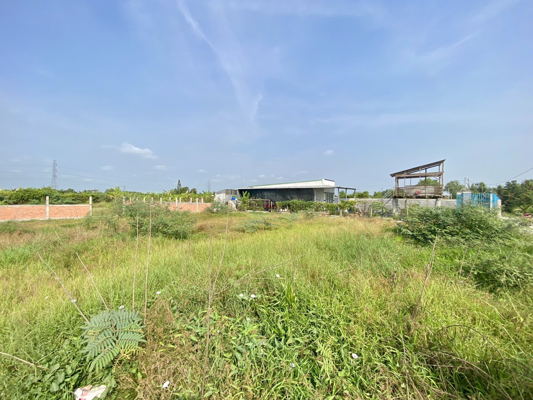 2177m² Thổ Lúa gần đường Quốc Lộ 1A, Giá 3.2 tỷ, Sổ riêng, nền cao ráo, xã Nhựt Tảo, Tây Ninh