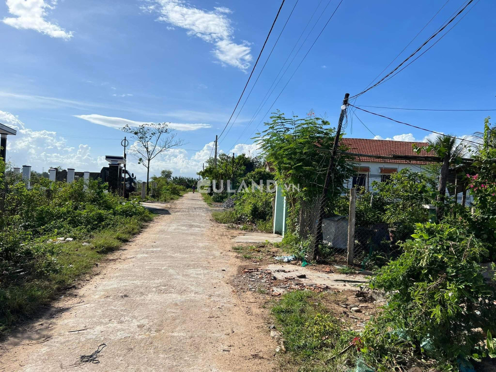 Lô đất Ninh Ích - Ninh An 2 mặt tiền🎋Dt: 230m2, ngang 13m, 60 thổ