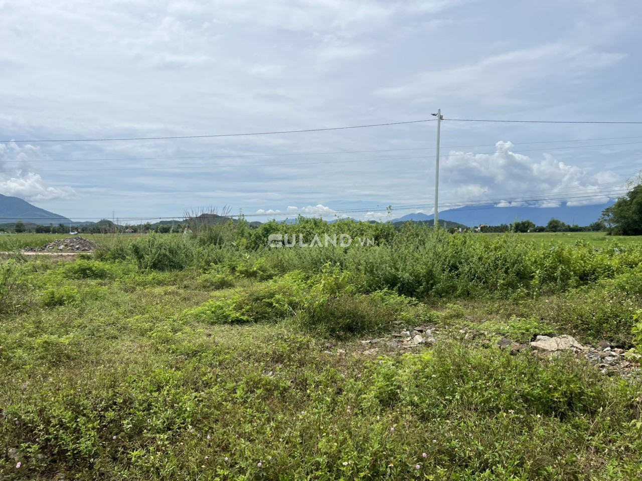 7 8x25 full thổ 920 tr