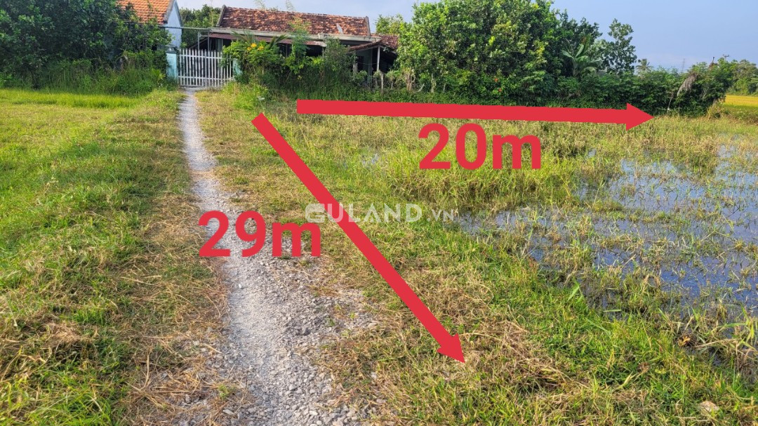 1.2 sào lúa qh thổ Phú Gia, Ninh An, sát nhà dân, bám đường 29m