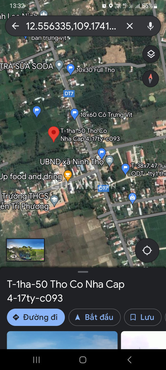 1ha ninh thọ