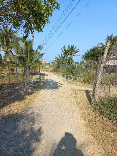 Phú Gia, Ninh An, 30x30, 200tc, giá đầu tư phân lô