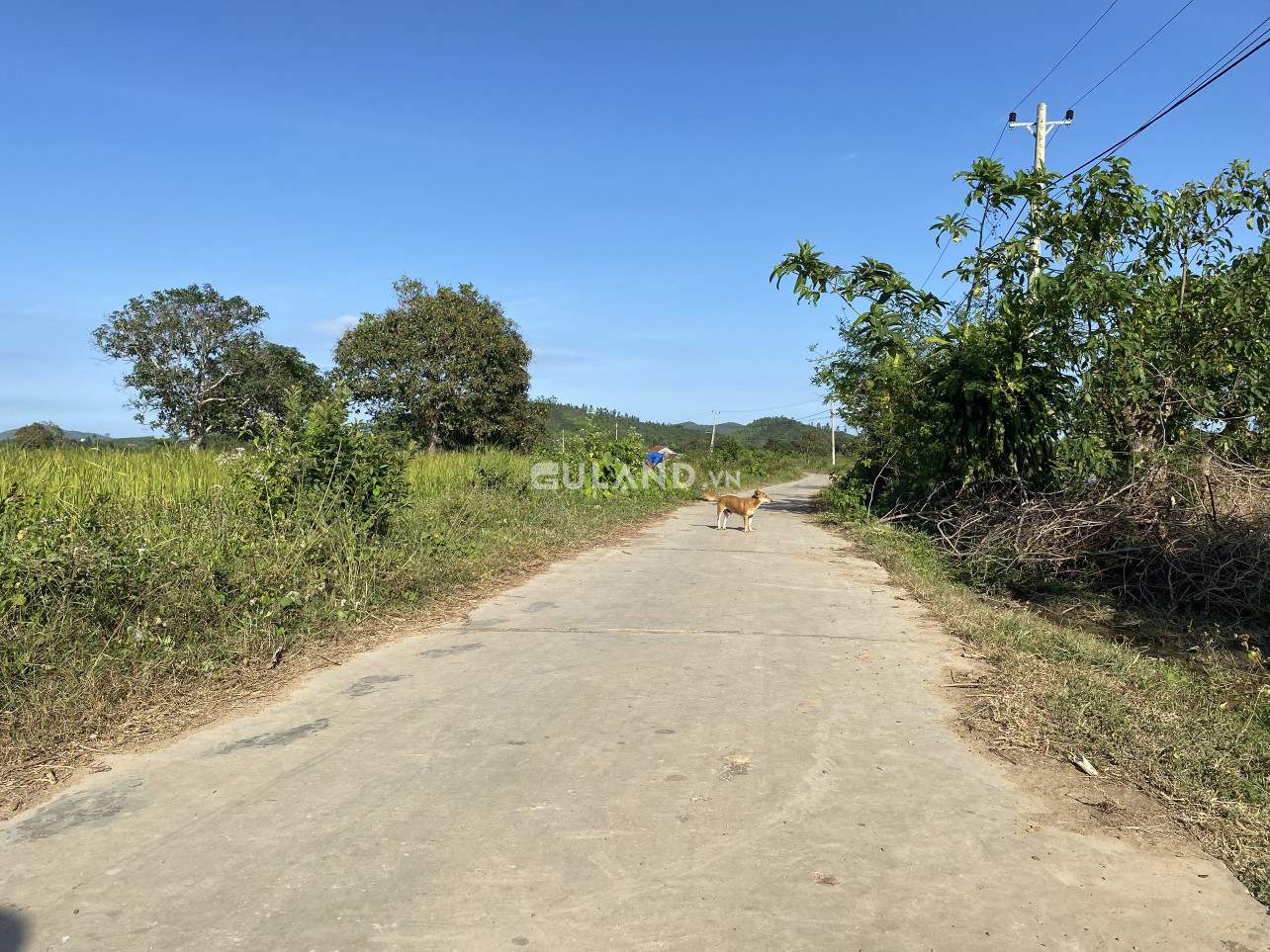 Hòa Thiện 2, Ninh An, 6x31, 60 thổ cư giá rẻ đầu tư