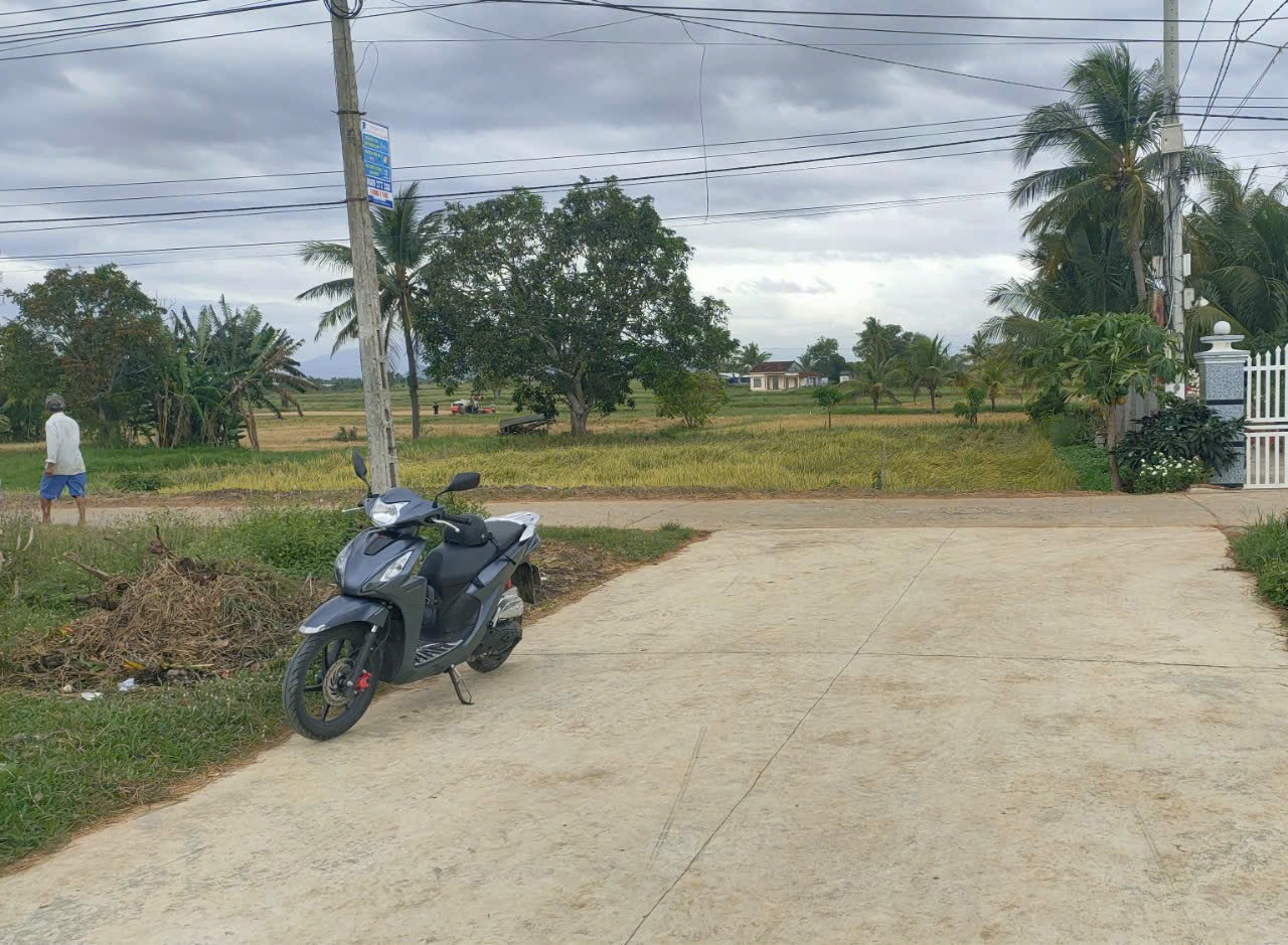 LH: 0938156791 Hiếu 
Bán đất full thổ cư, dt 195m² 1.08 tỷ tại Xã Ninh An Thị xã Ninh Hòa