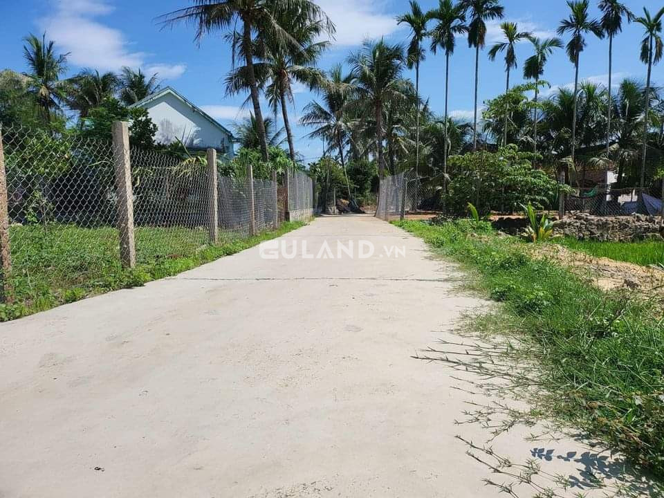 Bình Trị, Ninh Bình 6,29x30, 60 thổ, bê tông thông