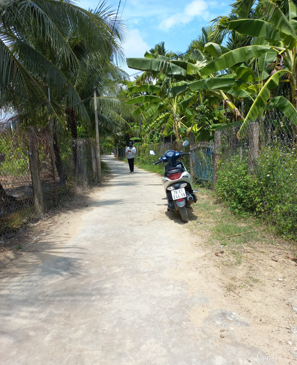 0938.113.403 Ms Thảo Bán lô đất thổ cư Ninh Bình ngang bám bê tông 28,68m, có sẵn 200m² thổ, gần trung tâm thị xã