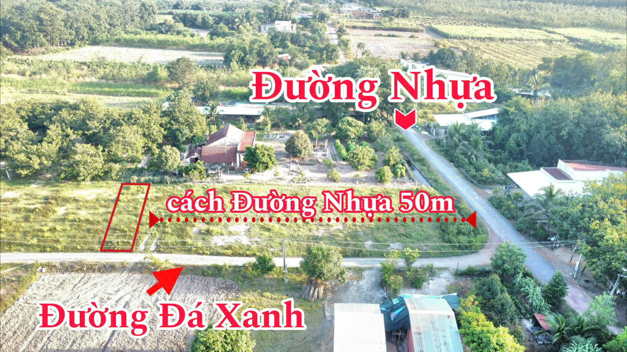 Cho thuê đất thổ cư 126.9m² tại ấp Bến Cừ – xã Ninh Điền, Châu Thành, Tây Ninh