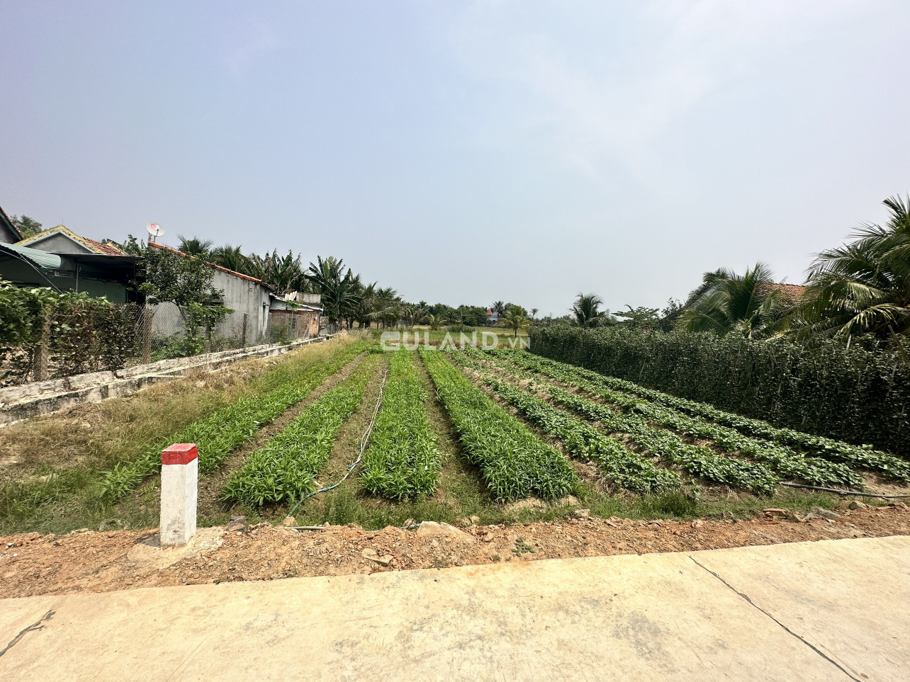 Văn Định, Ninh Đông, 6x28, 60 thổ, bê tông