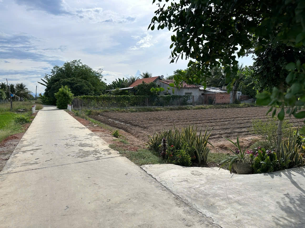 0938.113.403 Đất thổ cư Ninh Đông 6x29, 60m² thổ