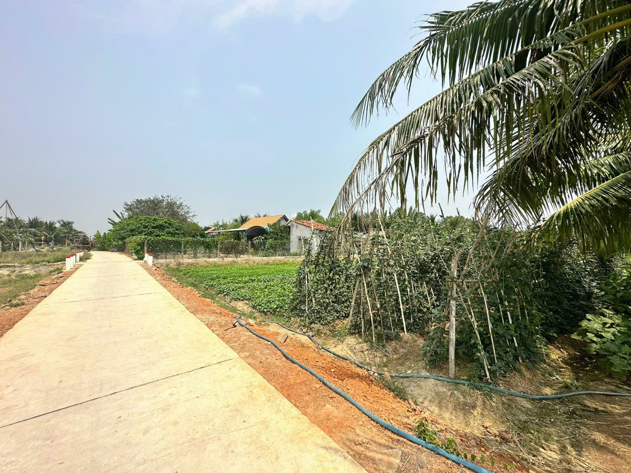 Bán đất
