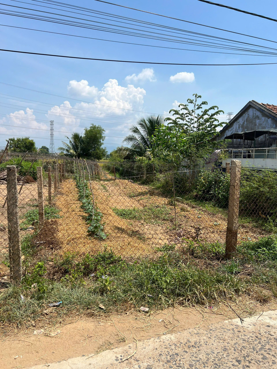 Bán đất Ninh Đông 171,3m2 có 60 thổ cư đầu tư xây nhà để ở đều được giá chỉ 6590 triệu chốt nhanh