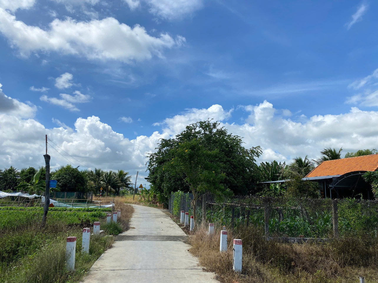 Bán đất Ninh Hòa - Khánh Hòa 480 triệu thương lượng nhẹ