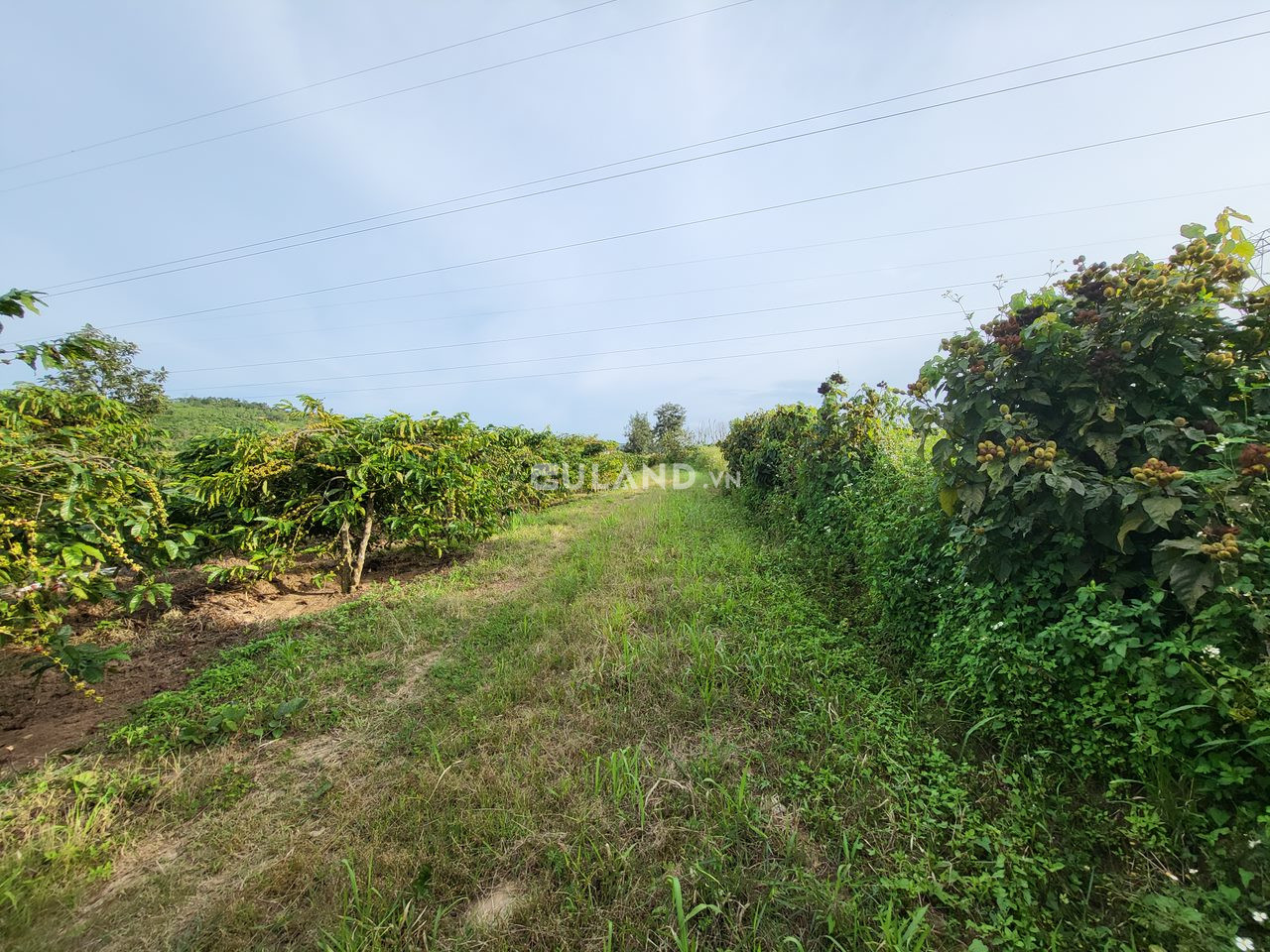 Bán  đất nông nghiệp 8300m² , giá 2.8 tỷ tại, Xã Ninh Gia, Huyện Đức Trọng, Lâm Đồng