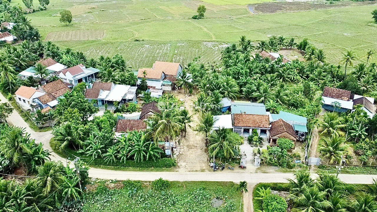 Phụng Cang, Ninh Hưng, 7x37, 60tc, giá đầu tư
