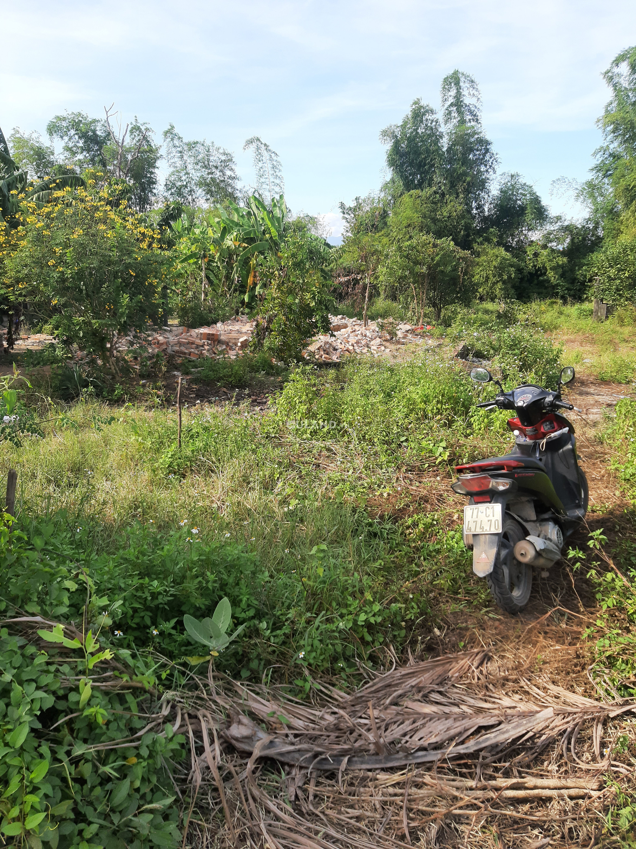 Bán  đất thổ cư 475.4m² , Xã Ninh Hưng, Thị xã Ninh Hòa, Khánh Hòa
