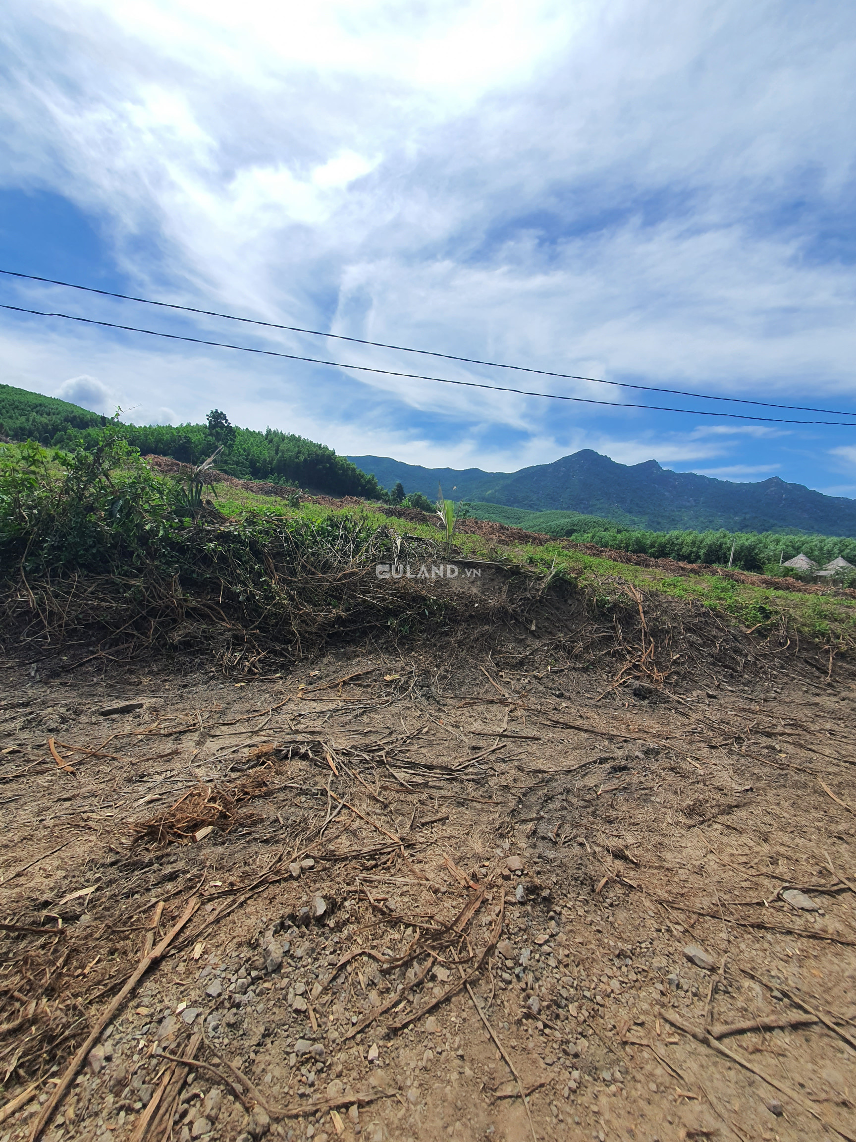 Bán  đất thổ cư 2336m² , Xã Ninh Ích, Thị xã Ninh Hòa, Khánh Hòa