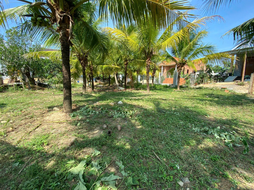 S002 0983113403 Bán đất 236m² 897 triệu tại Xã Ninh Lộc Thị xã Ninh Hòa