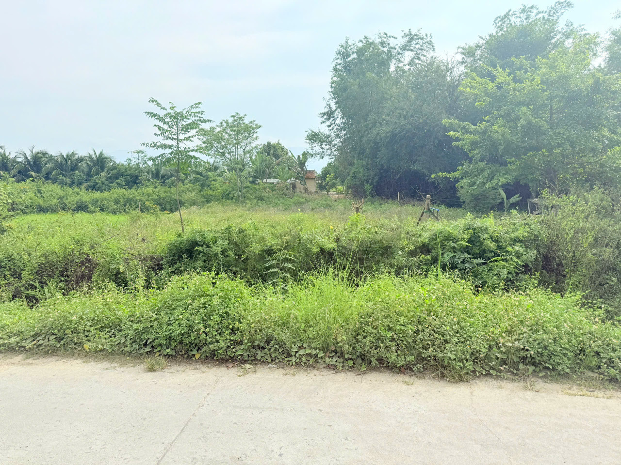 Bán đất 200m² 950 triệu tại Xã Ninh Phú Thị xã Ninh Hòa 0763615365